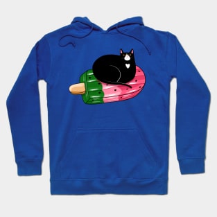 Watermeowlon Floatie Hoodie